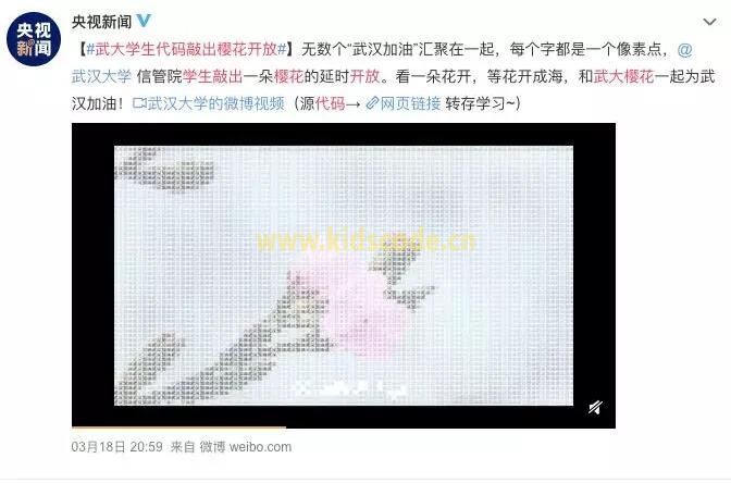 武大學生用Python敲出櫻花綻放，滿屏春天太浪漫